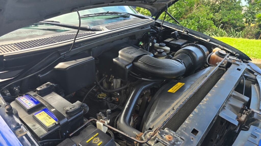 1996 Ford F150 4x4 V8 low miles